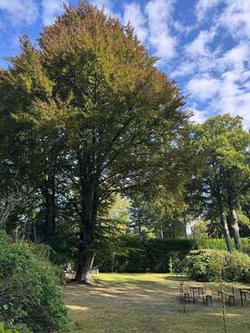 Foto - Grundstück zu verkaufen in Köln 1.950.000,00 € 2000 m²