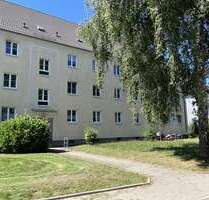 Wohnung zum Mieten in Chemnitz - Altchemnitz 269,00 € 48 m²