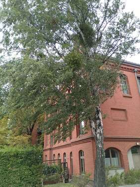 Foto - Wohnung zum Kaufen in Potsdam Nauener Vorstadt 269.550,00 € 59.9 m²