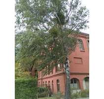 Wohnung zum Kaufen in Potsdam Nauener Vorstadt 269.550,00 € 59.9 m²