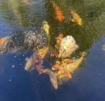 Haus zum Kaufen in Dülmen 317.939,00 € 132.46 m²