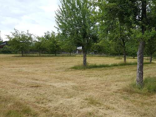 Foto - Grundstück zu verkaufen in Lindenfels 107.000,00 € 507 m²