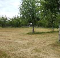 Grundstück zu verkaufen in Lindenfels 107.000,00 € 507 m²