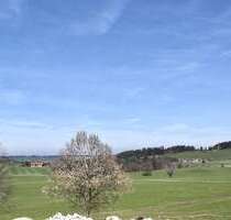 Grundstück zu verkaufen in Oberreute 779.000,00 € 2435 m²