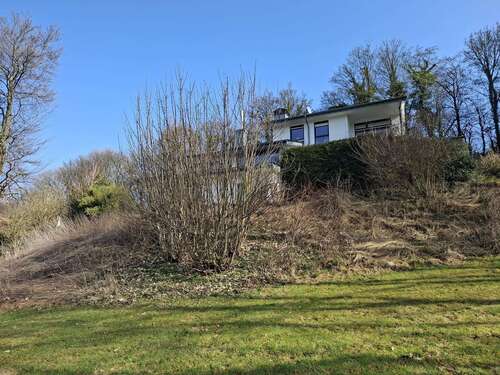 Foto - Haus zum Kaufen in Detmold 795.000,00 € 200 m²