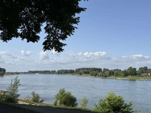 Foto - Wohnung zum Kaufen in Düsseldorf 1.495.000,00 € 183 m²