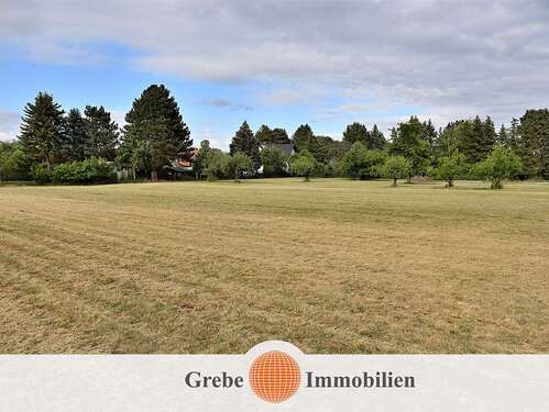 Foto - Grundstück zu verkaufen in Saalow 750.000,00 € 10000 m²