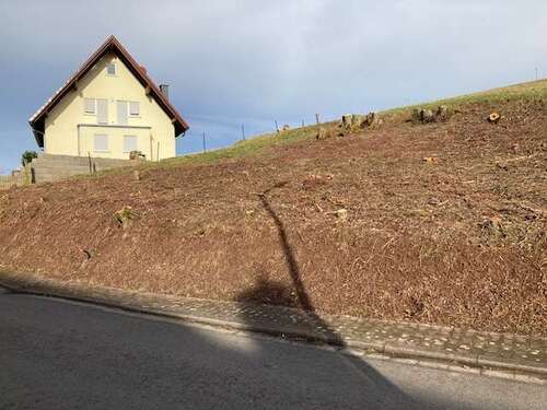 Foto - Grundstück zu verkaufen in Schneckenhausen 27.990,00 € 622 m²