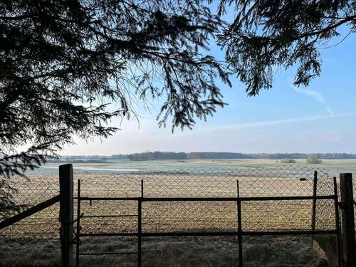 Foto - Grundstück zu verkaufen in Dettmannsdorf 69.500,00 € 1188 m²