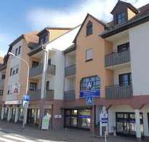 Wohnung zum Kaufen in Michelstadt 548.000,00 € 255 m²