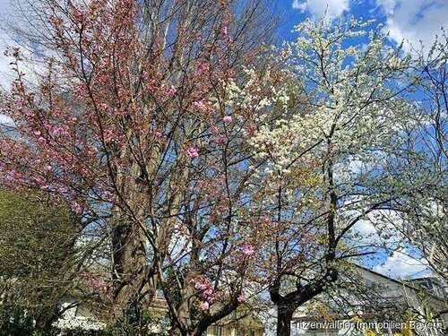 Foto - Haus zum Kaufen in Augsburg Haunstetten 489.000,00 € 127 m²