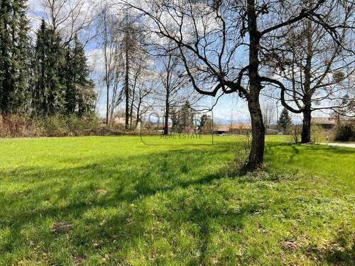 Foto - Grundstück zu verkaufen in Dietramszell 549.000,00 € 1209 m²