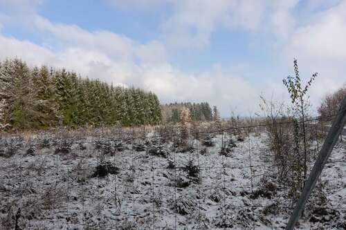 Foto - Grundstück zu verkaufen in Schnaitsee 80.000,00 € 6600 m²