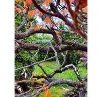 Grundstück zu verkaufen in Magdeburg 143.750,00 € 625 m²