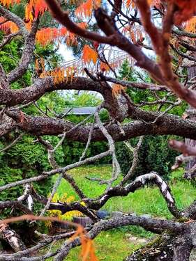 Foto - Grundstück zu verkaufen in Magdeburg 159.000,00 € 691 m²