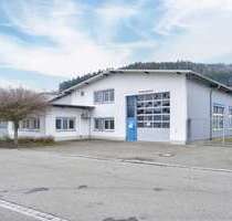 Halle in Haslach im Kinzigtal 10.500,00 € 977 m²