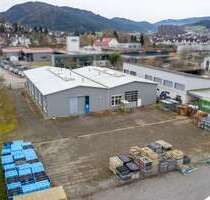 Halle in Haslach im Kinzigtal 10.500,00 € 977 m²