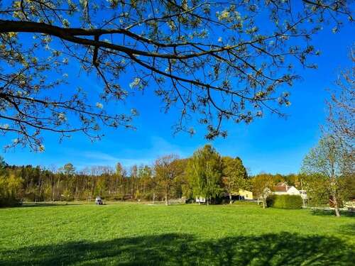 Foto - Haus zum Kaufen in Ringenhain 180.000,00 € 74.69 m²