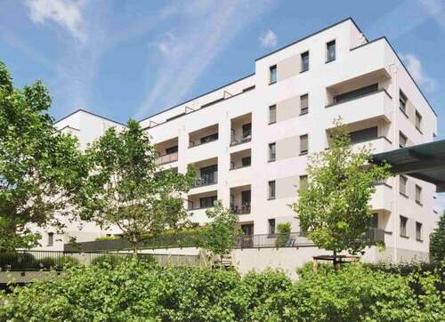 Foto - Wohnung zum Mieten in Dresden 498,00 € 36.9 m²