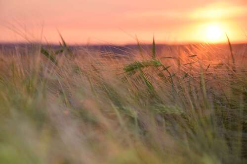 Foto - Wohnung zum Mieten in Schwedt 375,00 € 58 m²