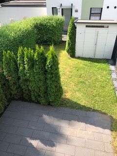 Foto - Haus zum Mieten in Essen 1.440,00 € 115.52 m²