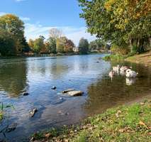 Foto - Wohnung zum Mieten in Fürstenwalde 775,80 € 64.65 m²