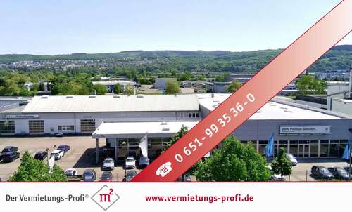 Foto - Halle in Trier Euren 57.855,00 € 3990 m²