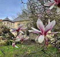 Haus zum Kaufen in Chemnitz 480.000,00 € 283 m²