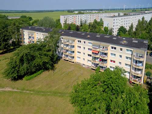Foto - Wohnung zum Mieten in Wolgast 144,00 € 25 m²