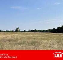 Grundstück zu verkaufen in Wriezen 87.000,00 € 717 m²