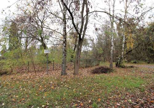 Foto - Grundstück zu verkaufen in Kleinmachnow 1.099.900,00 € 1157 m²