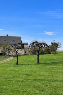Foto - Grundstück zu verkaufen in Limbach-Oberfrohna 150.000,00 € 3800 m²