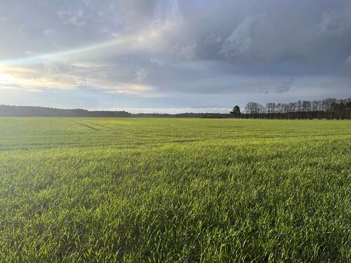 Foto - Grundstück in Arendsee (Altmark) 377.500,00 € 237435 m²