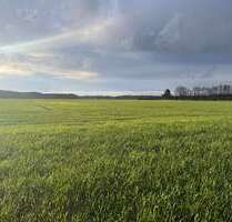 Grundstück in Arendsee (Altmark) 377.500,00 € 237435 m²