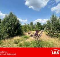 Grundstück zu verkaufen in Lichtenow 160.000,00 € 1138 m²