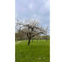 Haus zum Kaufen in Lichtenau 415.900,00 € 115 m²