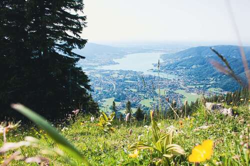 Foto - Grundstück zu verkaufen in Rottach-Egern 4.250.000,00 € 1500 m²