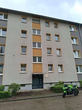 Foto - Wohnung zum Mieten in Gelsenkirchen 335,00 € 46.09 m²