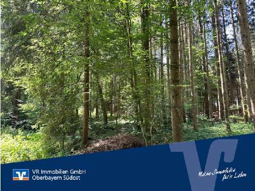 Foto - Grundstück zu verkaufen in Waging am See Tettenhausen 249.000,00 € 24640 m²