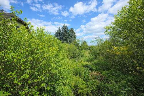 Foto - Grundstück zu verkaufen in Möser 115.000,00 € 15996 m²