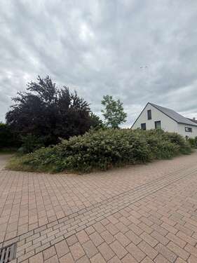Foto - Grundstück zu verkaufen in Schifferstadt 299.000,00 € 436 m²
