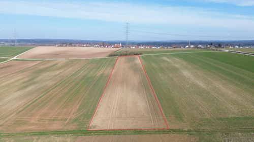 Foto - Grundstück in Böhmfeld 148.200,00 € 11400 m²