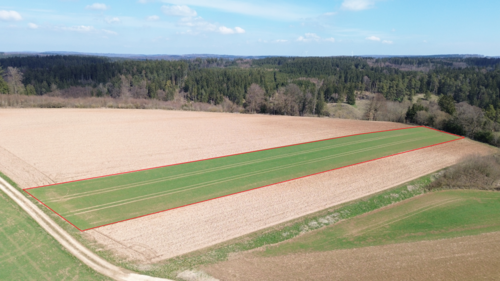 Foto - Grundstück in Böhmfeld 92.300,00 € 7100 m²