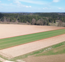 Grundstück in Böhmfeld 92.300,00 € 7100 m²