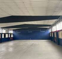 Halle in Frankfurt (Oder) 1.280,00 € 320 m²