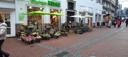 Foto - Büro in Gelsenkirchen 850,00 € 203 m²