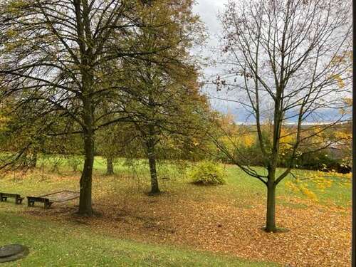 Foto - Wohnung zum Mieten in Döbeln 210,00 € 31.4 m²