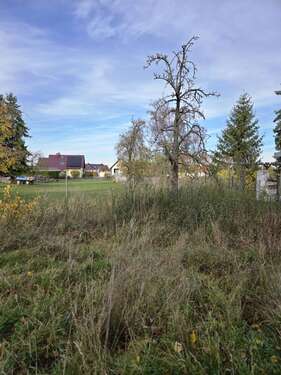 Foto - Haus zum Kaufen in Langula 119.000,00 € 170 m²