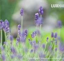 Grundstück zu verkaufen in Neu-Anspach 295.000,00 € 500 m²