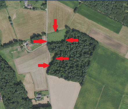 Foto - Grundstück in Rees 59.000,00 € 11288 m²